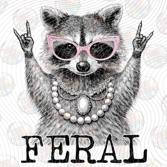 FSSG 674 - FERAL RACCOON