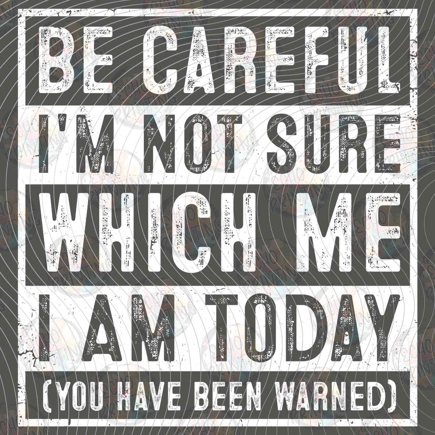 FSSG 736 - BE CAREFUL IM NOT SURE WHICH ME I AM TODAY