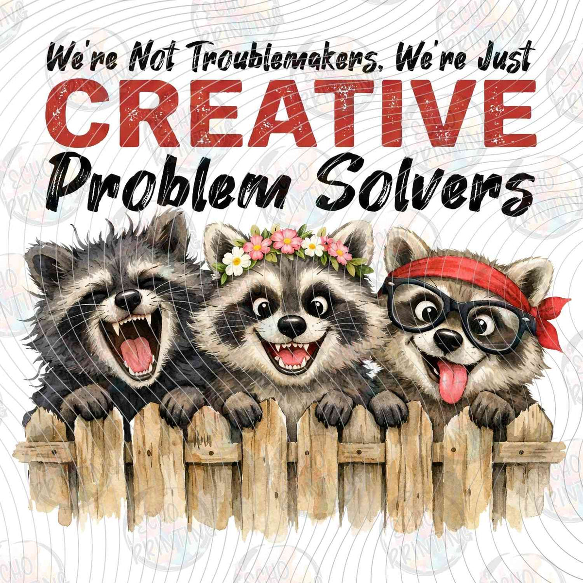 FSSG 805 - CREATIVE PROBLEM SOLVERS RACCOONS