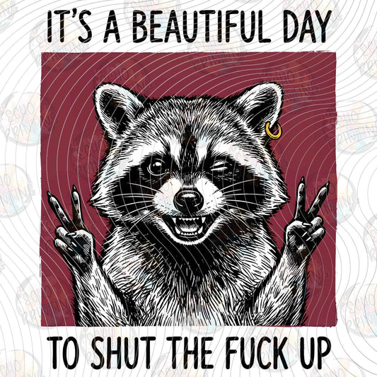 FSSG 841 - BEAUTIFUL DAY RACCOON