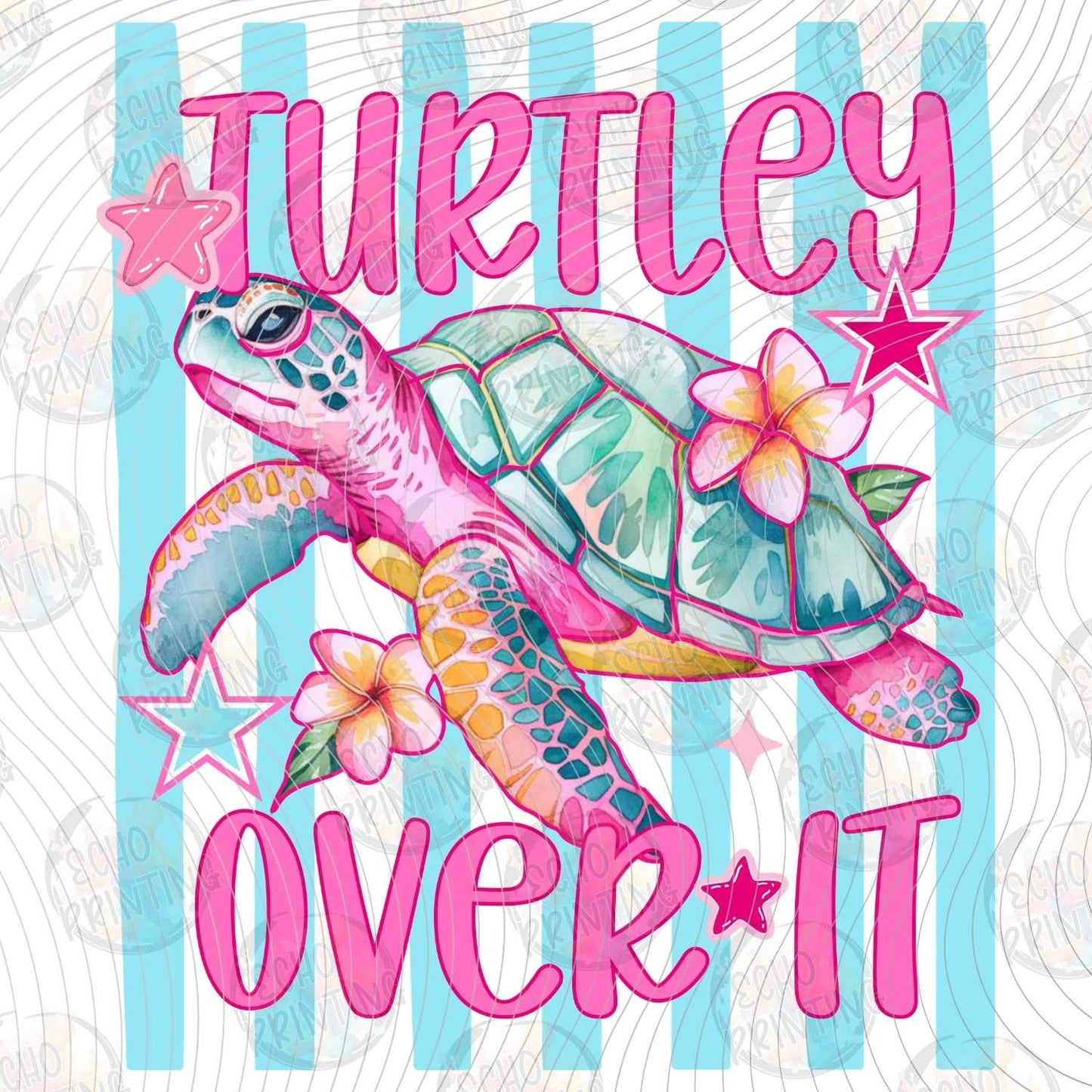 FSSG 880 - TURTLEY OVER IT
