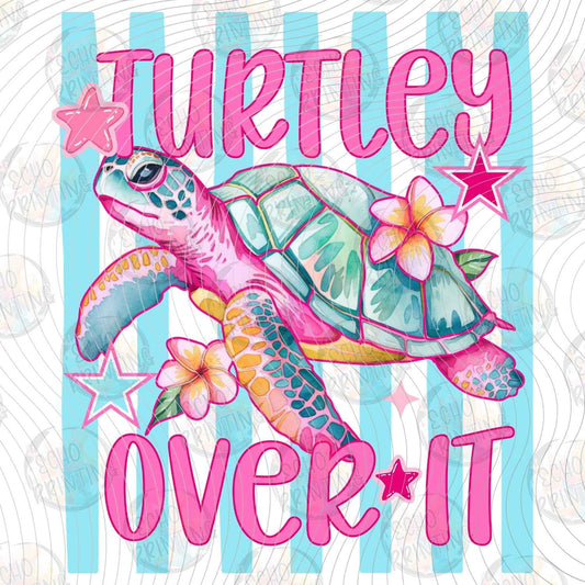 FSSG 880 - TURTLEY OVER IT