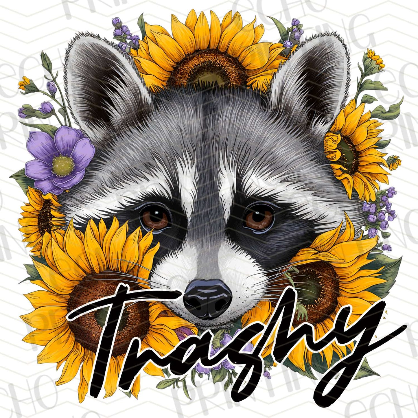 FSSG 287 – TRASHY RACCOON SUNFLOWERS