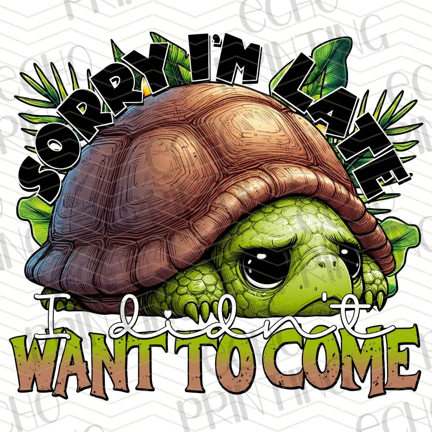 FSSG 313 - SORRY IM LATE I DIDNT WANT TO COME TURTLE