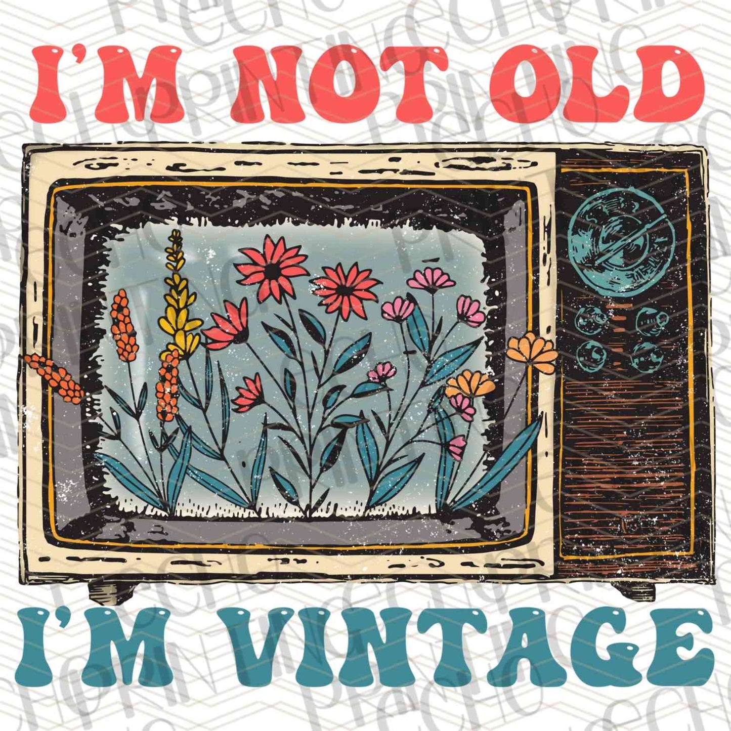 FSSG 350 - IM NOT OLD IM VINTAGE TV