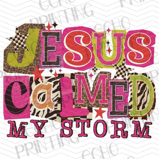 FTHG 1312 - JESUS CALMED MY STORM