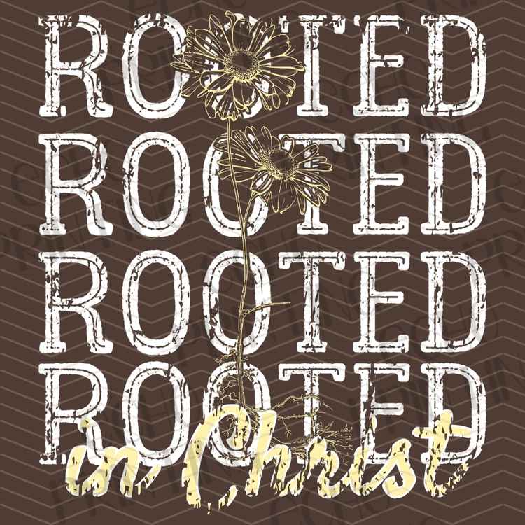 FTHG 1405 - ROOTED IN CHRIST FAITH
