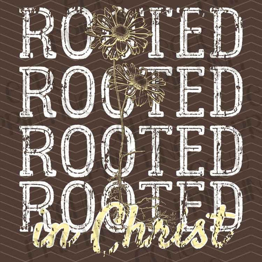FTHG 1405 - ROOTED IN CHRIST FAITH