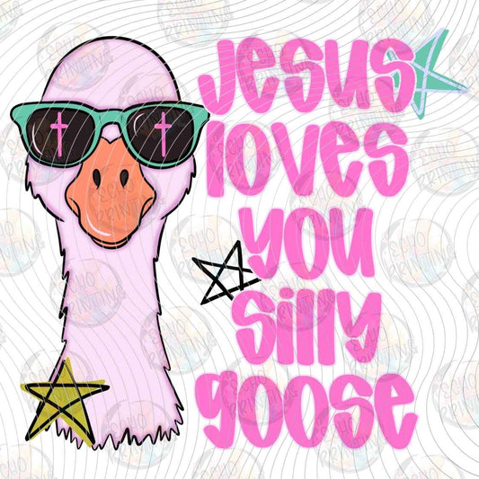 FTHG 1756 - JESUS LOVES YOU SILLY GOOSE