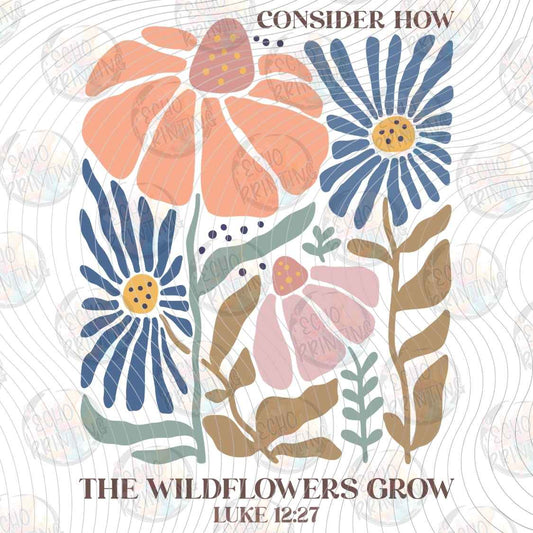 FTHG 1764 - WILDFLOWERS GROW