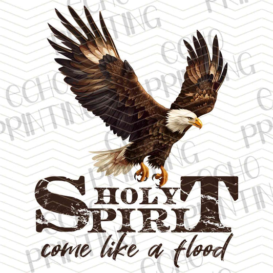 FTHG 730 - SOAR ON FAITH
