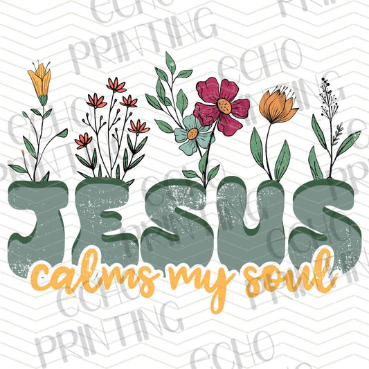 FTHG 759 - JESUS CALMS MY SOUL