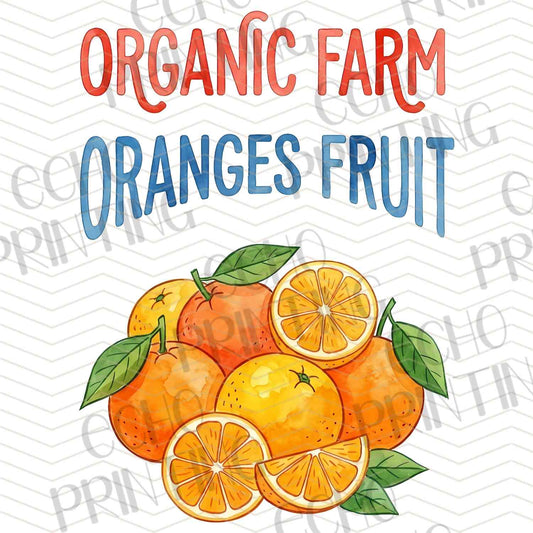 FTHG 899 - ORGANIC ORANGES FRUIT