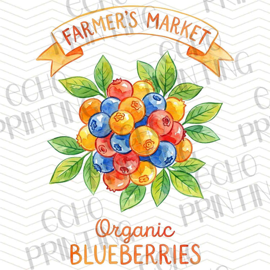 FTHG 916 - ORGANIC BLUEBERRIES