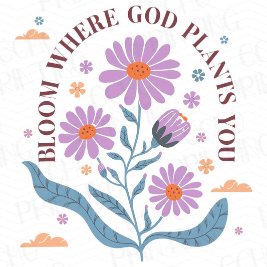 FTHG 201 - BLOOM WHERE GOD PLANTS YOU