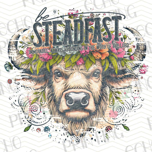 FTHG 482 - BE STEADFAST