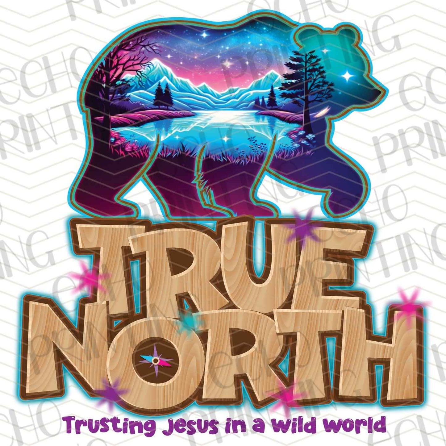 FTHG 662 – TRUE NORTH – TRUSTING JESUS IN A WILD WORLD