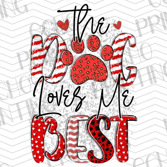 VLTG 630 – THE DOG LOVES ME BEST