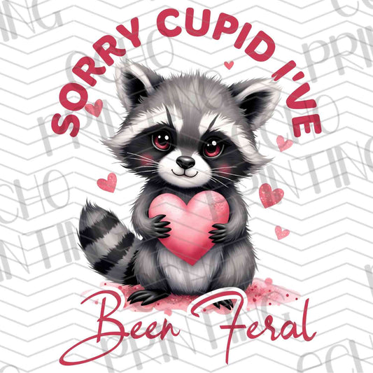 VLTG 654 – SORRY CUPID I’VE BEEN FERAL