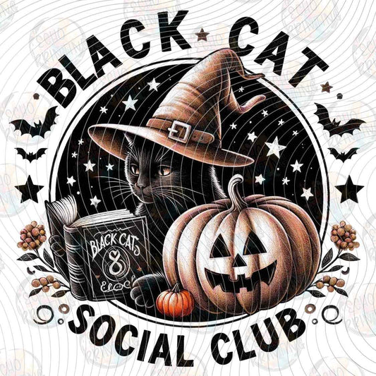 HLW 1449 - BLACK CAT SOCIAL CLUB