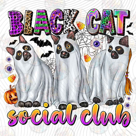 HLW 1451 - BLACK CAT SOCIAL CLUB