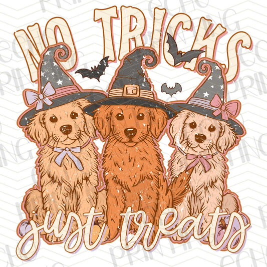 HLW 150 - NO TRICKS, JUST TREATS DOGS IN WITCH HATS