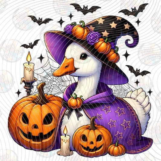 HLW 1712 - HALLOWEEN WITCH PUMPKINS