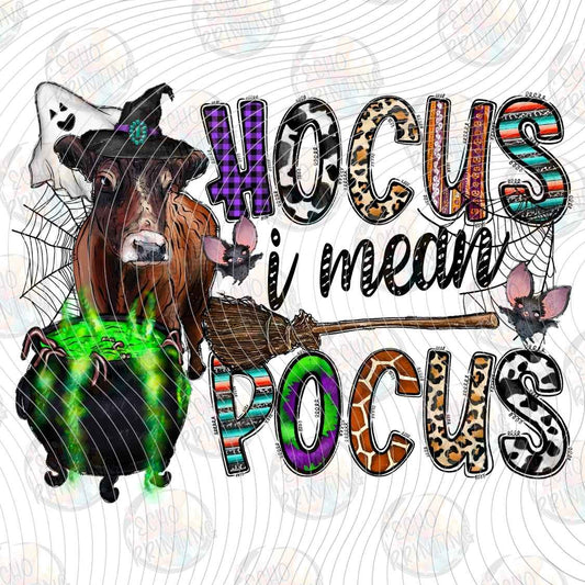 HLW 1811 - HOCUS I MEAN FOCUS