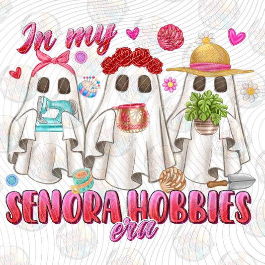 HLW 1866 - IN MY SENORA HOBBIES ERA