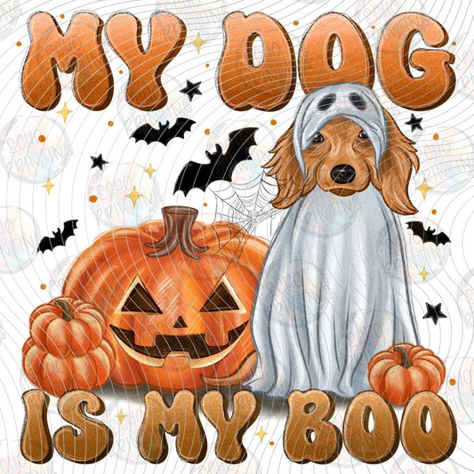 HLW 1987 - MY DOG IS MY BOO