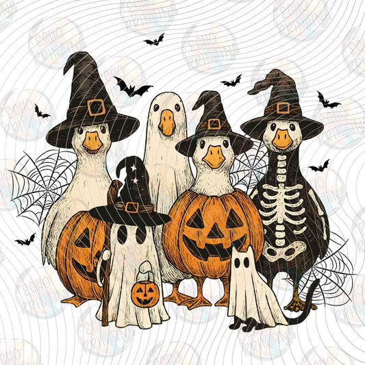 HLW 2142 - SPOOKY PETS HALLOWEEN