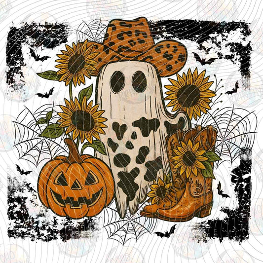 HLW 2330 - SUNFLOWER GHOST PUMPKIN