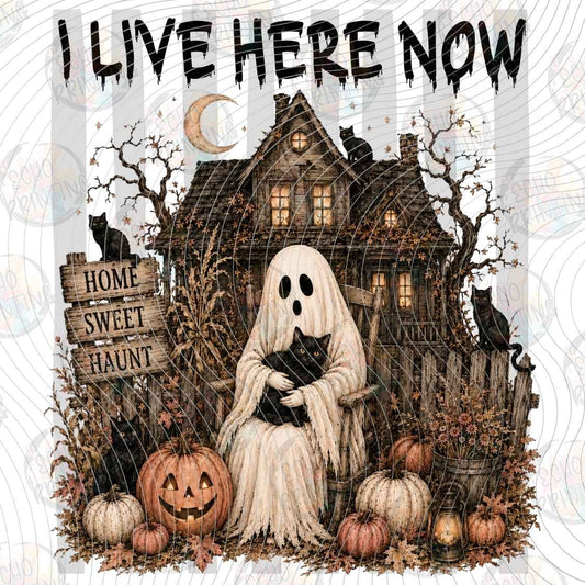 HLW 2362 - I LIVE HERE NOW