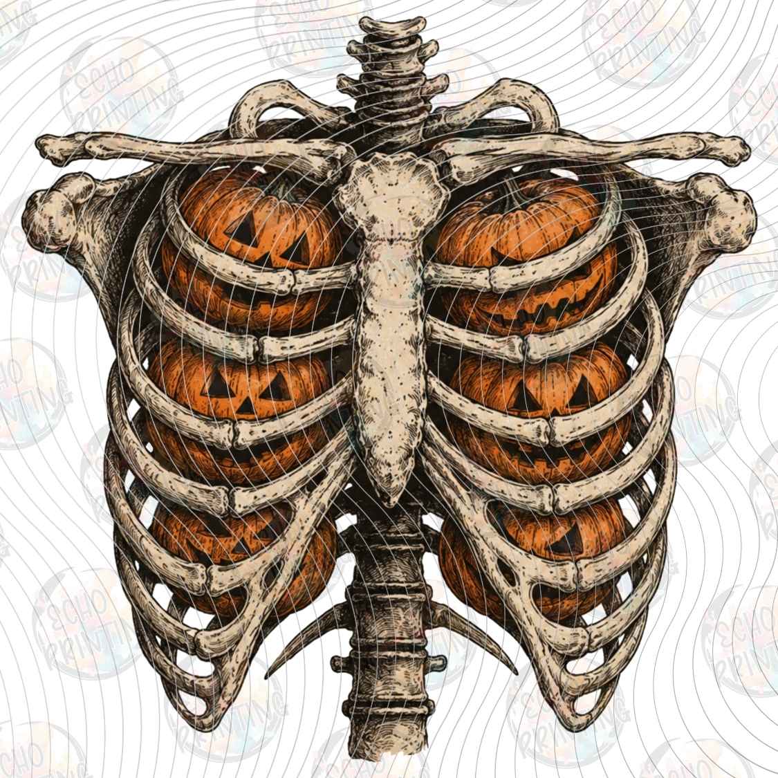 HLW 2367 - PUMPKIN RIB CAGE