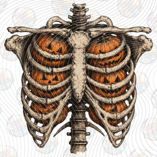 HLW 2367 - PUMPKIN RIB CAGE