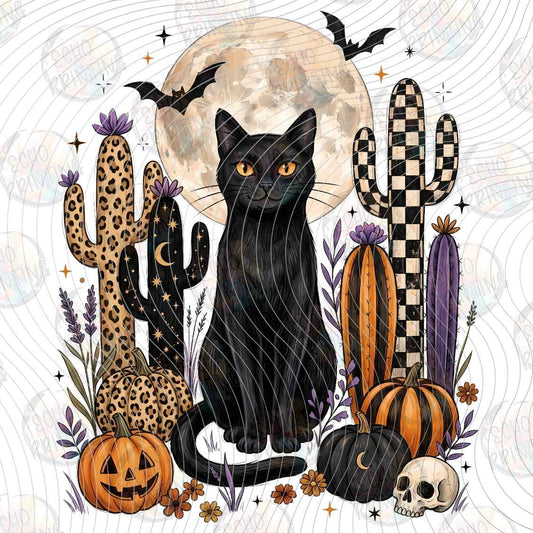 HLW 2377 - BLACK CAT PUMPKIN STYLE