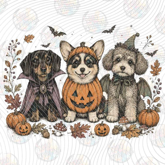 HLW 2408 - HALLOWEEN PUPPIES COLLAGE