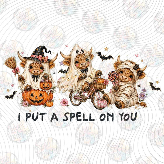 HLW 2410 - I PUT A SPELL ON YOU