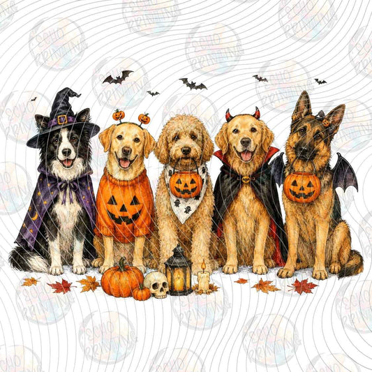 HLW 2433 - HALLOWEEN DOG CREW