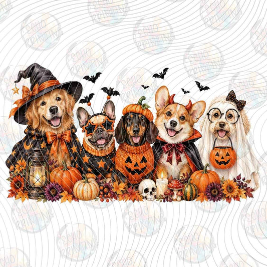 HLW 4099 - TRICK OR TREAT CREW