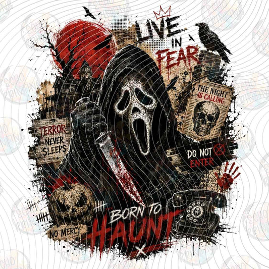 HLW 4184 - BORN TO HAUNT