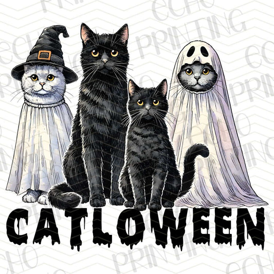 HLW 77 - CATLOWEEN GHOST CATS