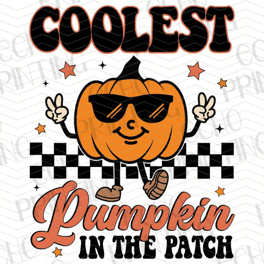 HLW 85 - COOLEST PUMPKIN IN THE PATCH
