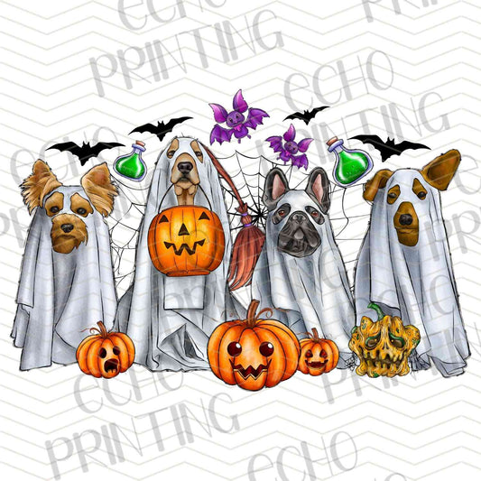 HLW 850 – DOG PUMPKINS COLLAGE