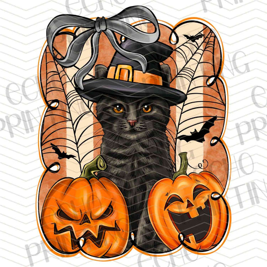 HLW 854 – WITCH CAT PUMPKINS