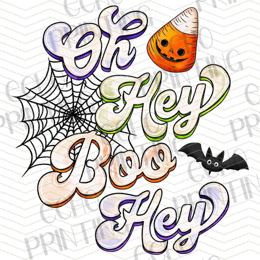 HLW 896 – BOO HEY QUOTE WITH SPIDERWEB