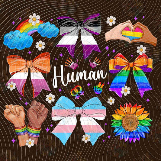 HMRG 10 - HUMAN RAINBOW BOWS BROWN