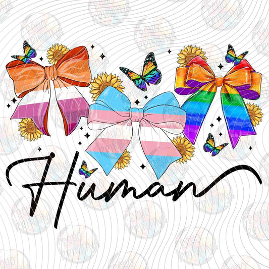 HMRG 13 - HUMAN PRIDE BOWS WHITE