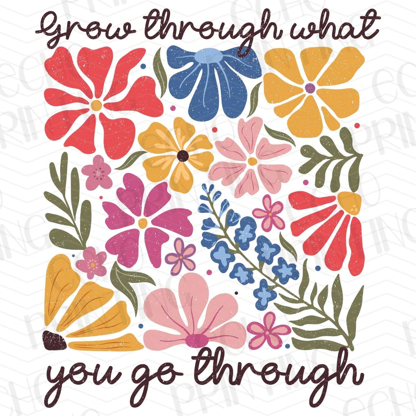 INMO 17 – YOU GO THROUGH WHAT YOU GROW THROUGH