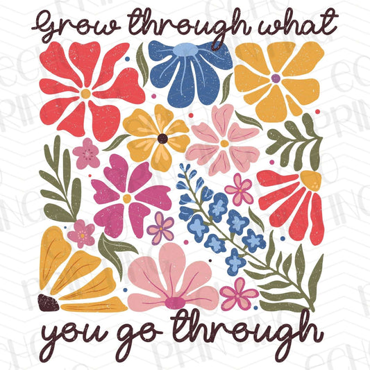 INMO 17 – YOU GO THROUGH WHAT YOU GROW THROUGH